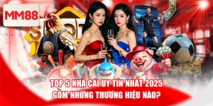 Top 5 Nhà Cái Uy Tín Nhất 2025 Gồm Những Thương Hiệu Nào?